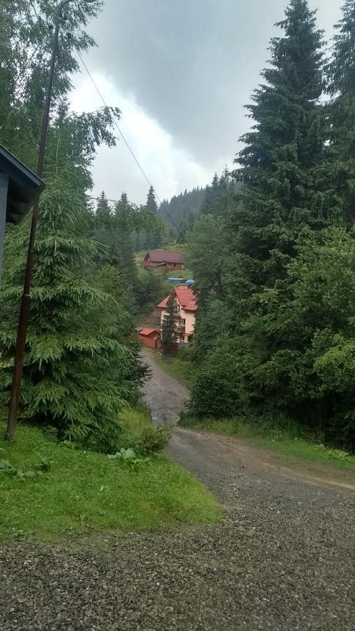 Садиба Срібні Карпати Jabłonica Zewnętrze zdjęcie